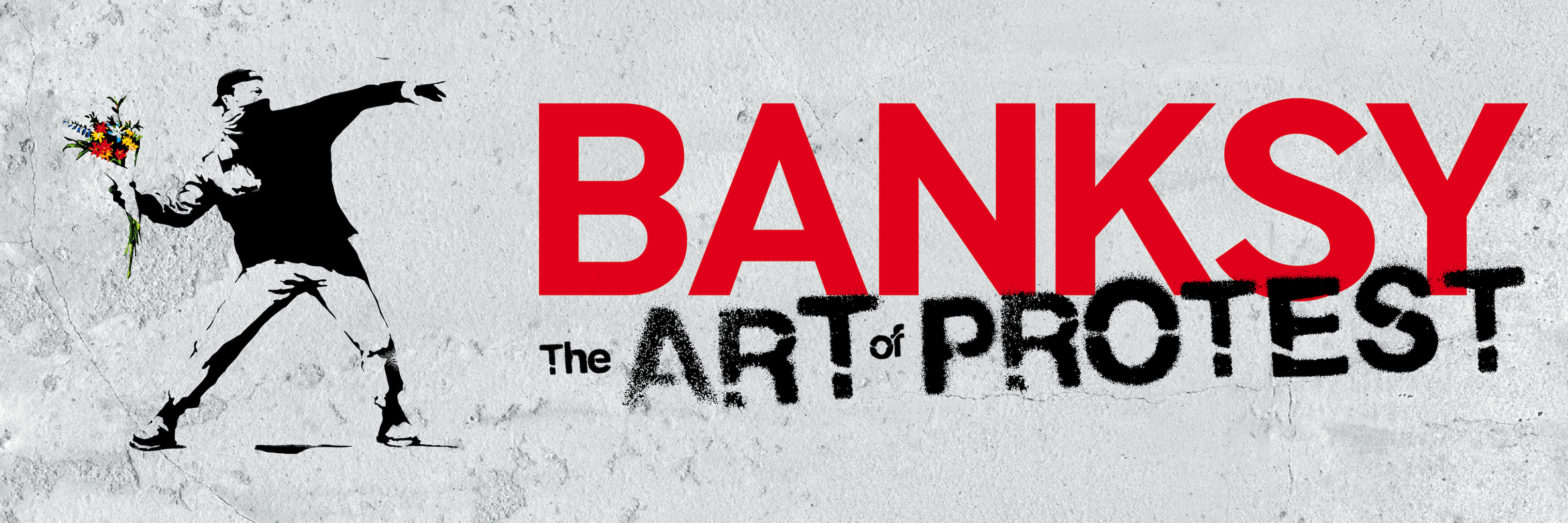 Banksy, Museu del Disseny