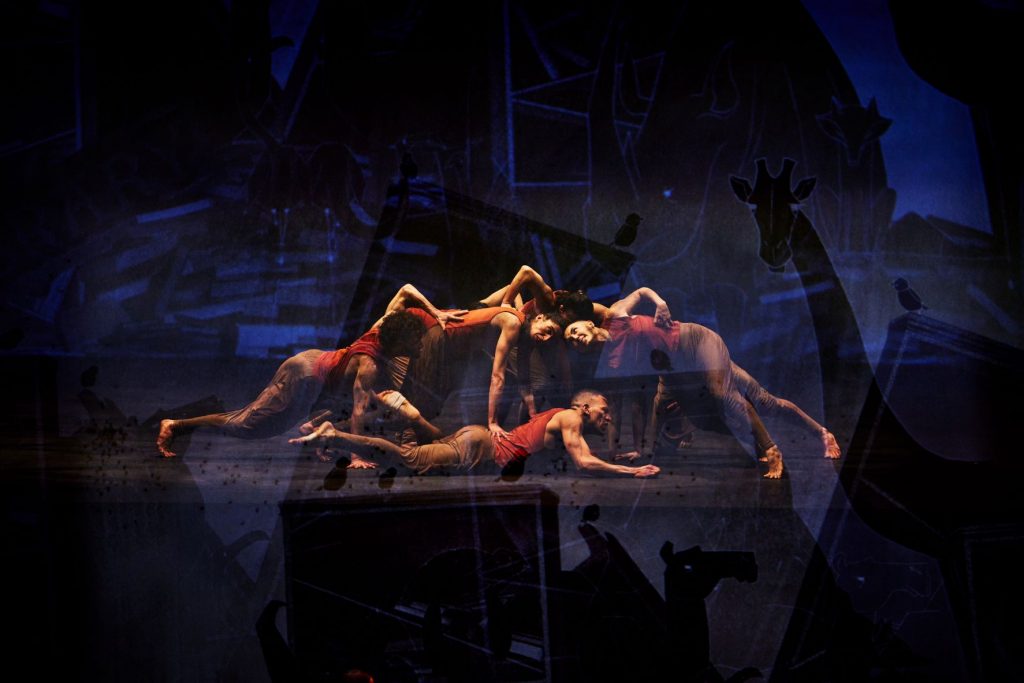 Akram Khan Company, Jungle Book Reimagined, Madrid en Danza, Teatros del Canal