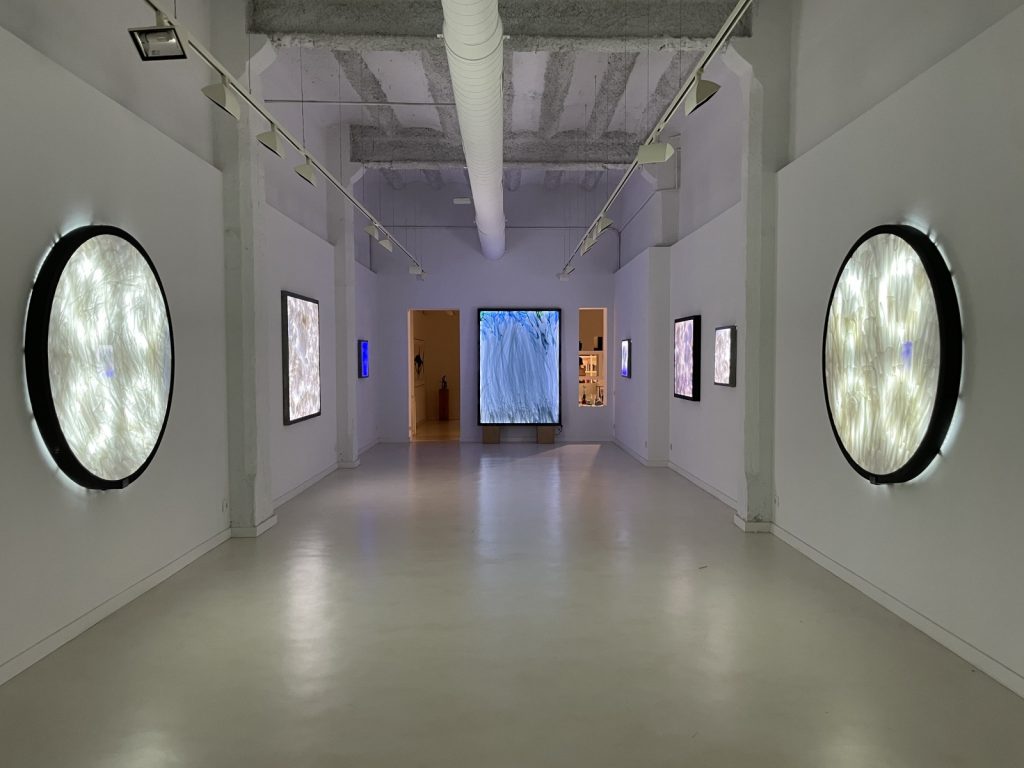 Mario Pasqualotto, Pigment Gallery