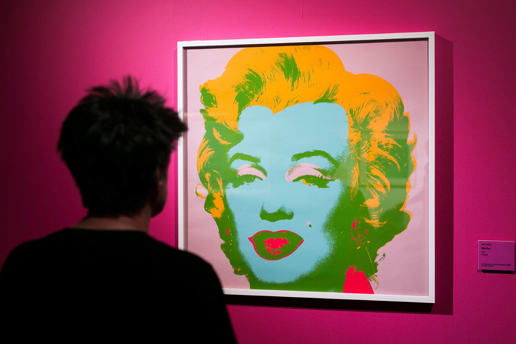 Keith Haring, Roy Lichtenstein, Robert Rauschenberg y Andy Warhol. CENTROCENTRO, lola duran ucar, pop art